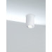 Потолочный светильник Maytoni Technical Alfa SLC016CL-01W